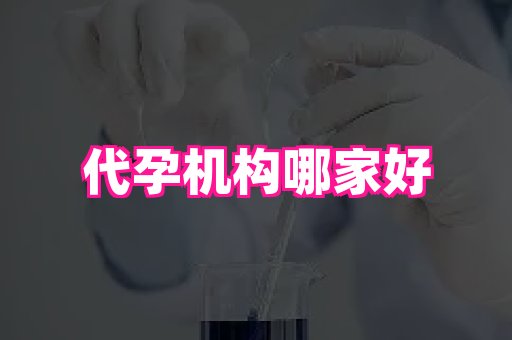 61助孕网 1
