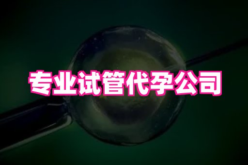61助孕网 3